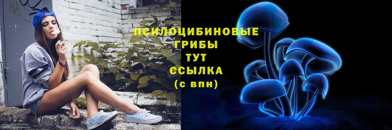 Галлюциногенные грибы Psilocybe Боровск